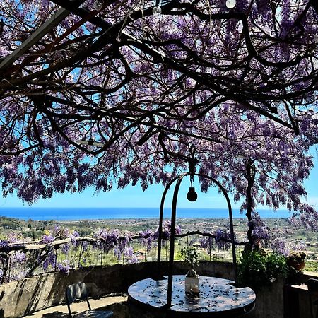 Il Noceto Dell'Etna Bed & Breakfast Джаре Екстериор снимка